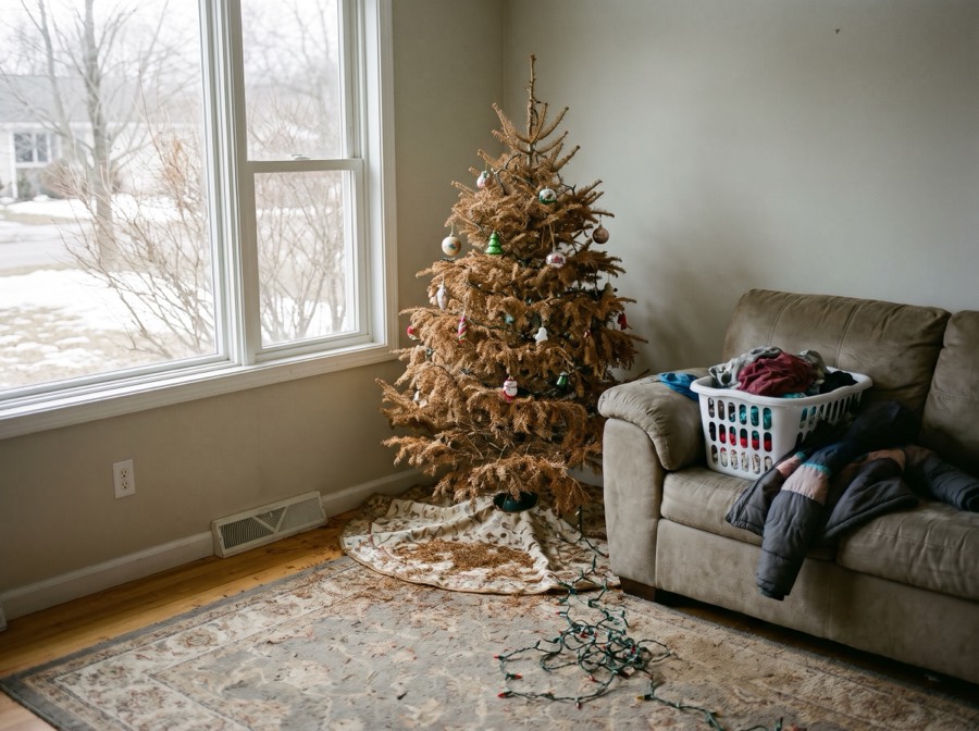 A dry Christmas tree still standing in late February, needles on the floor